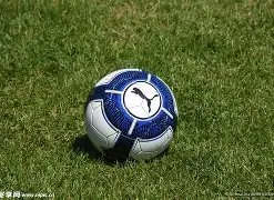 开云体育官,方网站网址,资讯,开云体育,开云体育官网,开云体育app,开云体育平台,KAIYUN,SPORTS,kaiyun登录入口