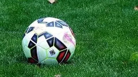 开云体育官方网站网址 资讯 124338 dgg