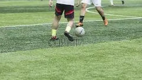 体育快讯AI精选：11月22日体育焦点盘点