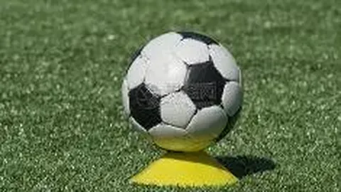 爱诗科技携手阿里云，8个月营收破亿再创新高