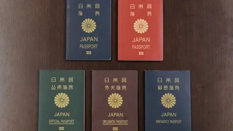 “赛后寻握手未果！阿尔特塔急寻埃梅里，贝尔塔温馨提醒：通道已先行一步~”